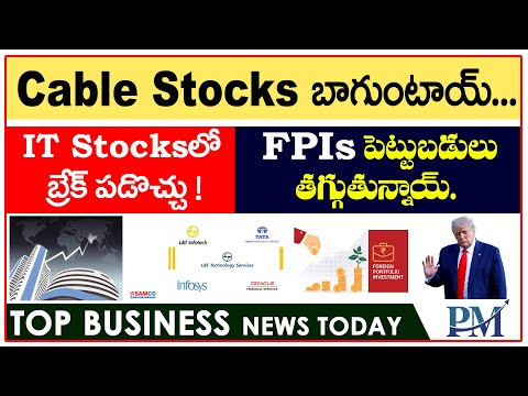 Cable stocks బాగుంటాయ్, IT Stocksలో బ్రేక్ పడొచ్చు ! FPIs పెట్టుబడులు తగ్గుతున్నాయ్.. Be Alert