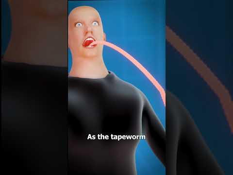 What Is A Tapeworm? 😨