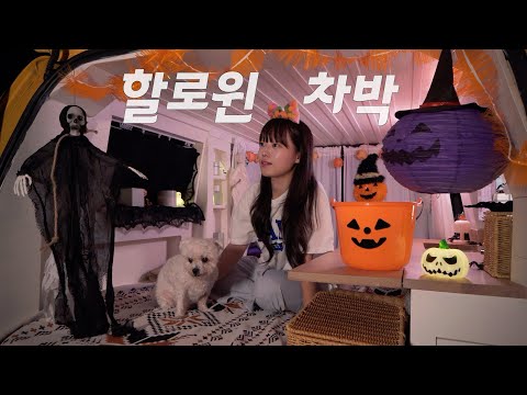 컴백한 강이와 불사조에서 할로윈 차박🎃👻 / 캠핑 브이로그 / 스타렉스 자작 캠핑카 / 셀리맥스 시카패드 / 전라남도 장흥군 심천오토캠핑장