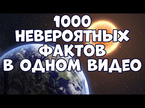 1000 НЕВЕРОЯТНЫХ ФАКТОВ В ОДНОМ ВИДЕО