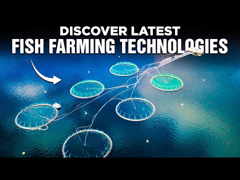 The Future of Aquaculture New Sustainable Fish Farming Technologies