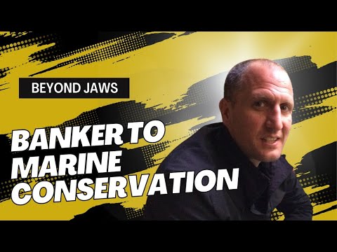 From Banker to Marine Biologist: The Inspiring Journey of Paul Cox, CEO of Shark Trust