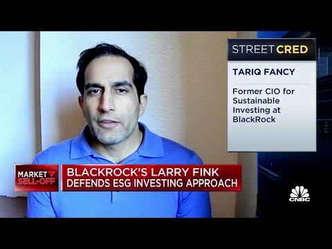 Sustainable investing is mostly marketing and PR: Former BlackRock exec