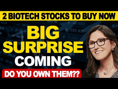 2 Stocks Now - Buy The Dip To 3x Your Money - Revolutionary BioTech - Cathie Buying