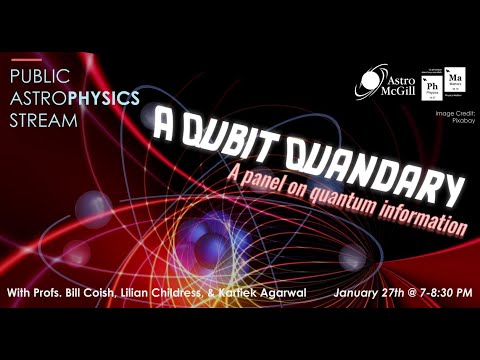 A Qubit Quandary: A Panel on Quantum Information