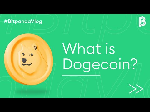 The History of Dogecoin. What&#039;s behind the hype of the memecoin?